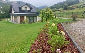 Apartament Dziewanna